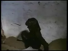 Hai người bạn đã gặp những cô gái táo bạo, những người không ngại dành thời gian ở một công ty vui vẻ trong một bữa tiệc swinger. Phụ nữ Nhật Bản rất vui khi được liếm con cu và tận hưởng những cái vuốt ve trong setviet sub công ty của những người bạn trai sáng tạo của họ.